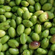 [:en]Green cracked olives[:el]Πράσινες ελιές τσακιστές